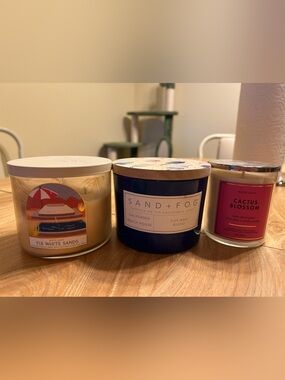 Summer Vibes Candles - Fiji White Sands, California Beach House, Cactus Blossom